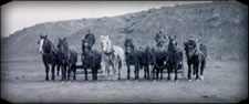 Sorensen Family Draft Horses in Early Wyoming