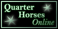 Quarter Horses Online