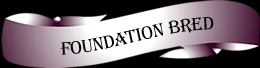 Foundation Bred Quarter Horses for Sale
