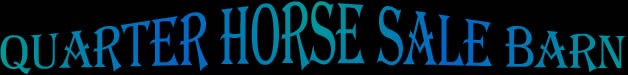 Foundation Bred Quarter Horses for Sale