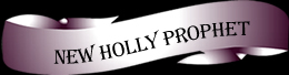 nre holly prophet quarter horse